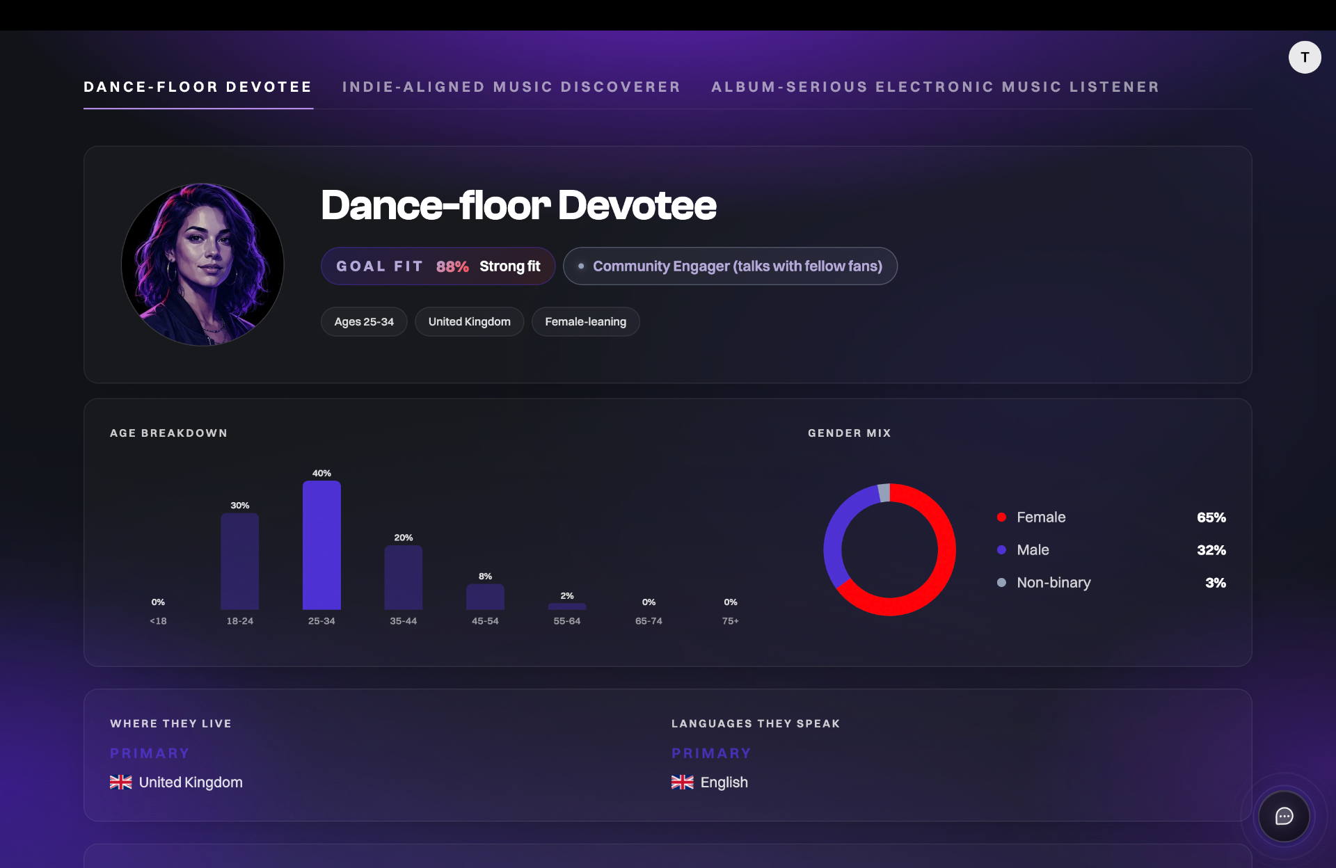 Audience persona dashboard with demographics